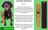 B the Blunt - 420 Dog Toy