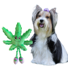 Mary Jane - Hilarious "Weed Leaf" - 420 Dog Toy