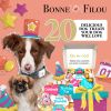 Happy Birthday Themed Dog Treats - Gift Box