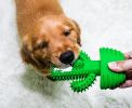 Cactus Shape Dog Toothbrush Stick - Effective Doggy Teeth Cleaning Massager - Natural Rubber - Bite Resistant Chew Toy