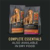 Purina Pro Plan - Slices in Gravy - Canned Dog Food for Adult Dogs - Beef - 13 oz Cans (12 Pack)