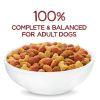 Purina Beneful Originals - Dry Dog Food - Farm Raised Beef - 36 lb Bag