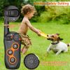 Electric Dog Training Collar - Rechargeable Receiver - Beep, Vibration, & Shock