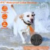 Electric Dog Training Collar - Rechargeable Receiver - Beep, Vibration, & Shock