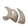 Water Buffalo Horn -100% Natural;  High Protein;  Long-Lasting;  Grain-Free;  Gluten-Free;  Low-Fat;  Dog Dental Treats & Chews - 2