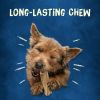 Purina Busy - Long Lasting Chews for Dogs, 21 oz Pouch