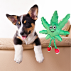 MJ the Weed Leaf - 420 Dog Toy