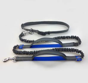 Reflective Elastic Dog Leash For Jogging (Option: Royal blue)