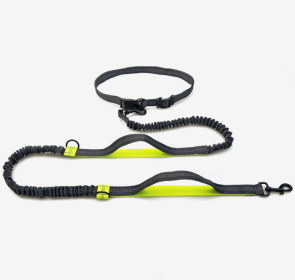 Reflective Elastic Dog Leash For Jogging (Option: Black fluorescent green)