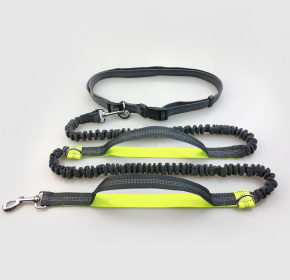 Reflective Elastic Dog Leash For Jogging (Option: Fluorescent green)